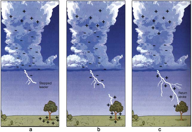 Model for forked lighting