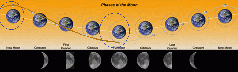 C:\Users\hp\Desktop\Moon_orbit_20_1.gif