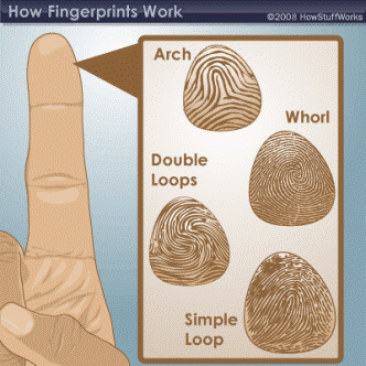C:\Users\hp\Desktop\fingerprints.gif
